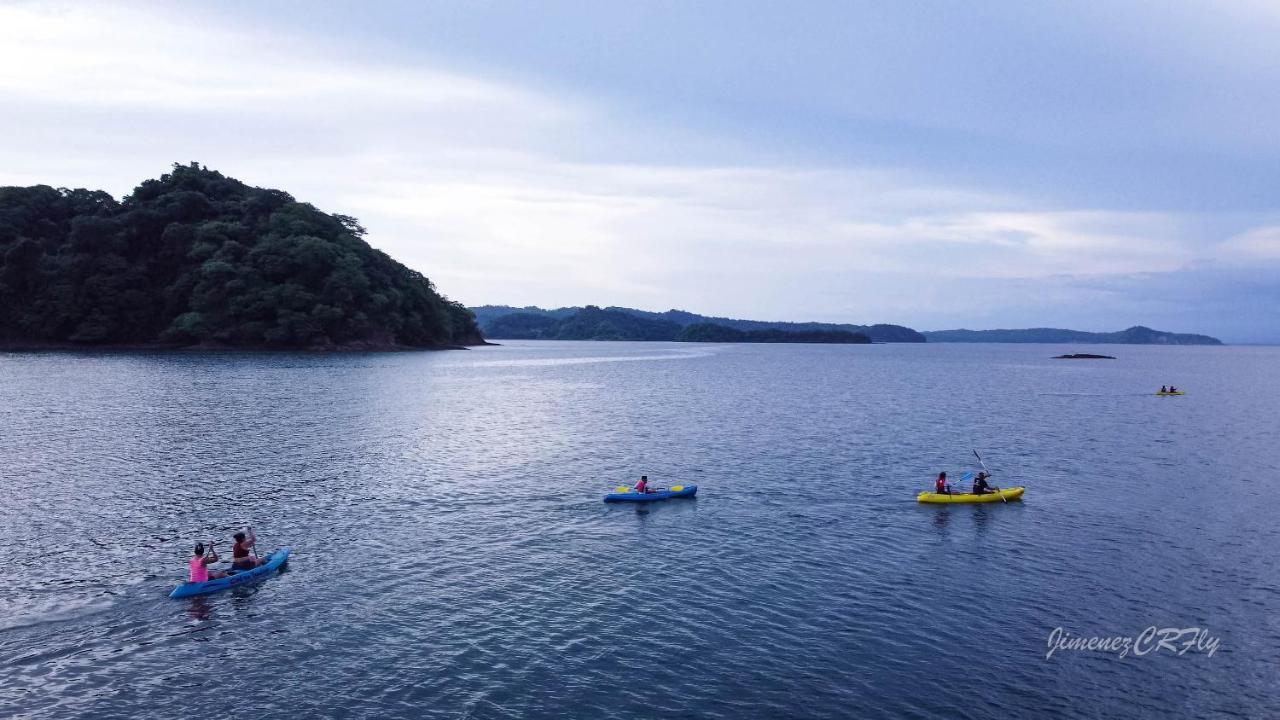 Bioluminiscencia Hostel Tours - South 파케라 외부 사진